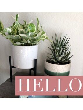 •• CLOSET BOOKMARK ••